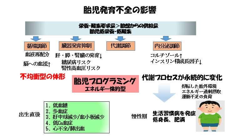 赤ちゃんに問題となる妊娠合併症-胎児発育不全-胎児発育不全の影響