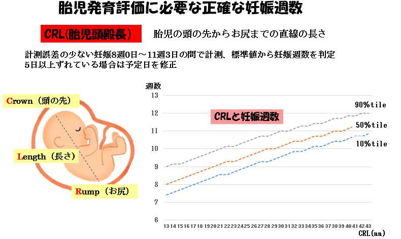 赤ちゃんに問題となる妊娠合併症-胎児発育不全-胎児発育評価に必要な正確な妊娠週数