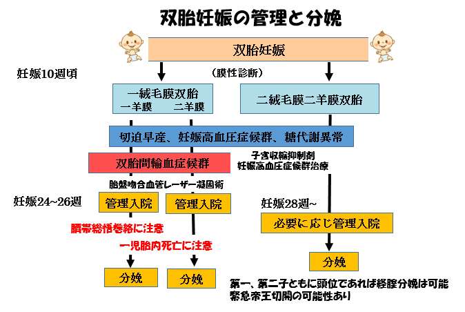 赤ちゃんに問題となる妊娠合併症-双胎-双胎妊娠の管理と分娩
