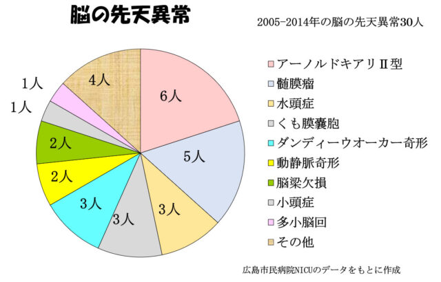 子宮外への適応-中枢神経系疾患-脳の先天異常
