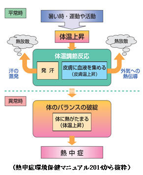 子どもの事故「熱中症」熱中症とは?