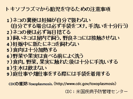 トキソプラズマから胎児を守るための注意事項