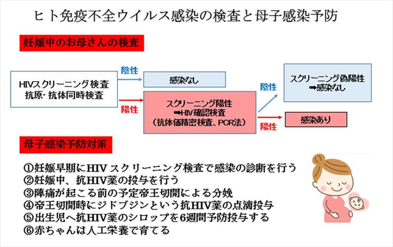 赤ちゃんに問題となる母の感染症 -ヒト免疫不全ウイルス-ヒト免疫不全ウイルス感染の検査と母子感染予防