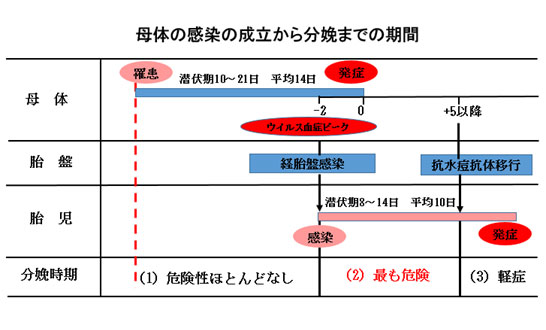 赤ちゃんに問題となる母の感染症-水痘(水ぼうそう)母体の感染の成立から分娩までの期間