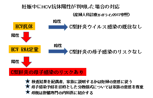 赤ちゃんに問題となるお母さんの感染症-C型肝炎ウイルス-妊娠中のHCV抗体陽性が判明した場合の対応