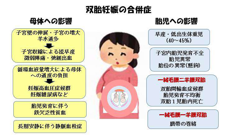 赤ちゃんに問題となる妊娠合併症-双胎-双胎妊娠の合併症