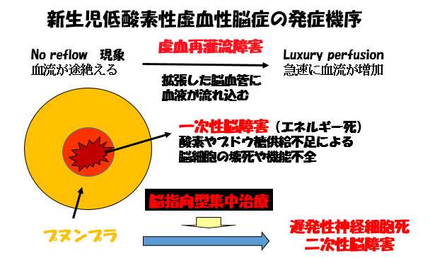 胎児から新生児への適応障害-新生児仮死-新生児低酸素性虚血性脳症の発症機序