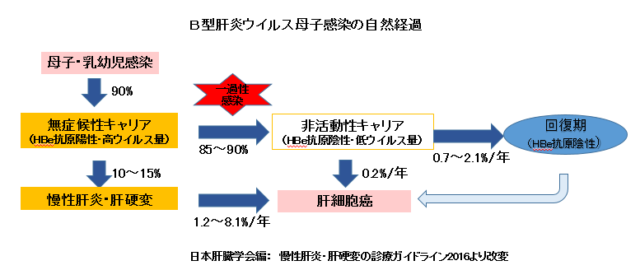 赤ちゃんに問題となる母の感染症- B型肝炎ウイルス-B型肝炎ウイルス母子感染の自然経過