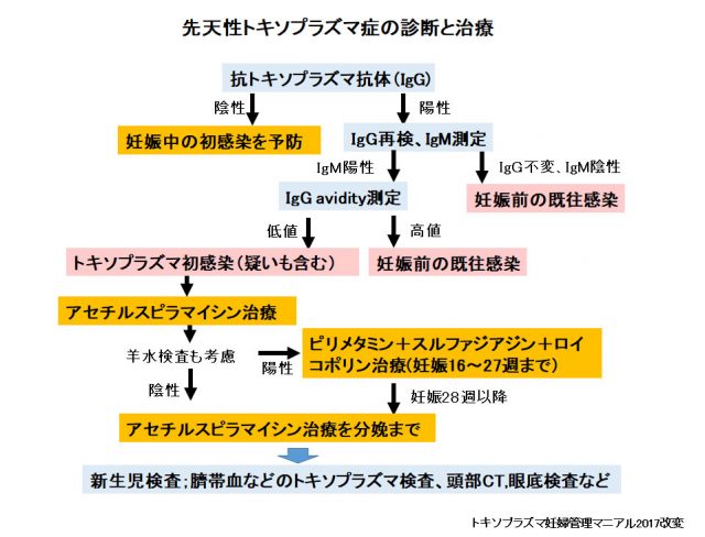 先天性トキソプラズマ症の診断と治療