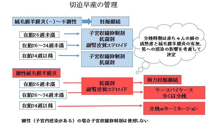 赤ちゃんに問題となる妊娠合併症-切迫早産-切迫早産の管理