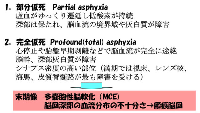 子宮外への適応-中枢神経系疾患-部分仮死・完全仮死・多嚢胞性脳軟化(MCE)