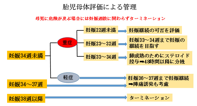 赤ちゃんに問題となる妊娠合併症-妊娠高血圧症候群-胎児母体評価による管理