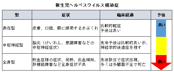 赤ちゃんに影響する母の感染症-新生児ヘルペスウイルス感染症