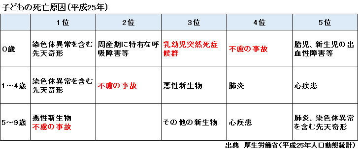 子どもの死亡原因(平成25年)
