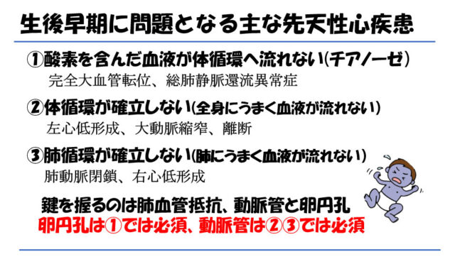 子宮外への適応-胎児循環から新生児循環へ-生後早期に問題となる主な先天性心疾患