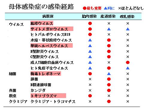 母体感染症の感染経路