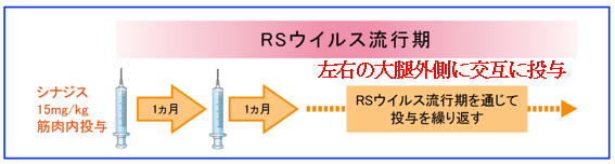 冬に流行する感染症-RSウイルス感染症-RSウイルス流行期