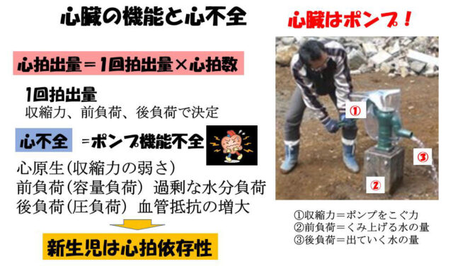子宮外への適応-胎児循環から新生児循環へ-心臓の機能と心不全