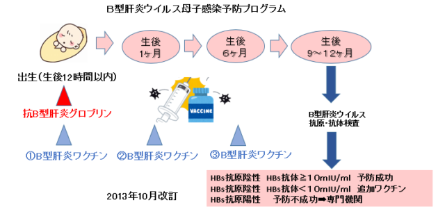 赤ちゃんに問題となる母の感染症- B型肝炎ウイルス-B型肝炎ウイルス母子感染予防プログラム