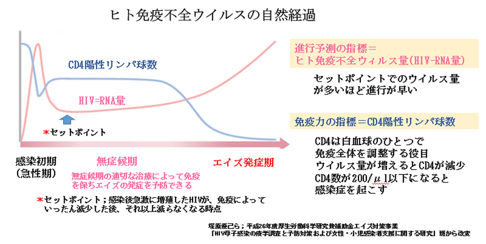 赤ちゃんに問題となる母の感染症 -ヒト免疫不全ウイルス-ヒト免疫不全ウイルスの自然経過